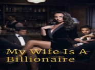 My Wife Is A Billionaire